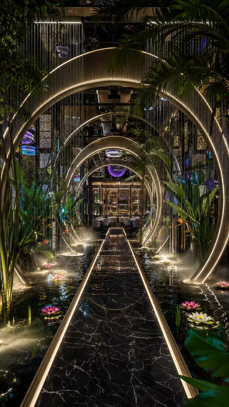 餐厅展示